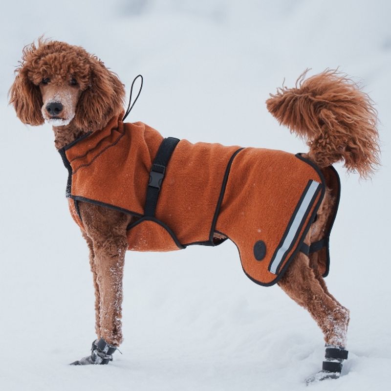 Delta - wool coat dog