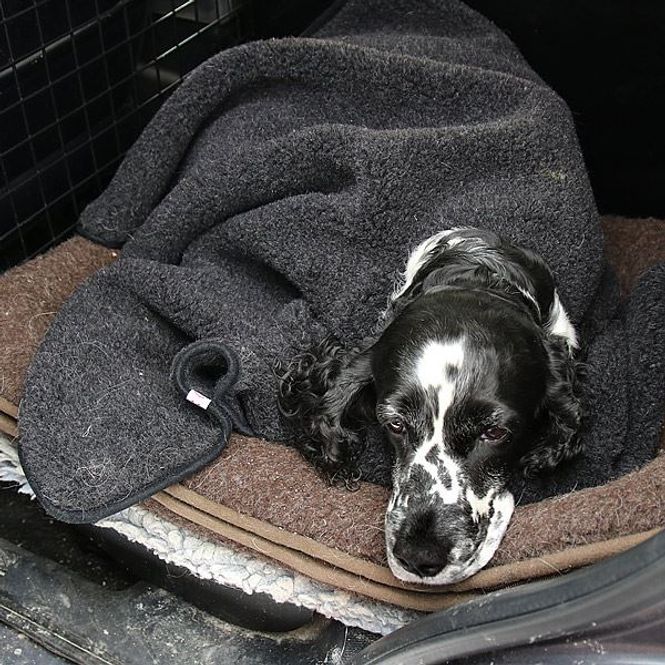 Hovedbilde Hundeponcho i ull