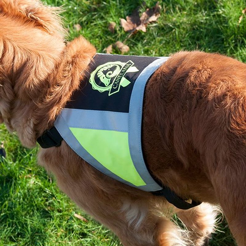 Canelana reflective vest