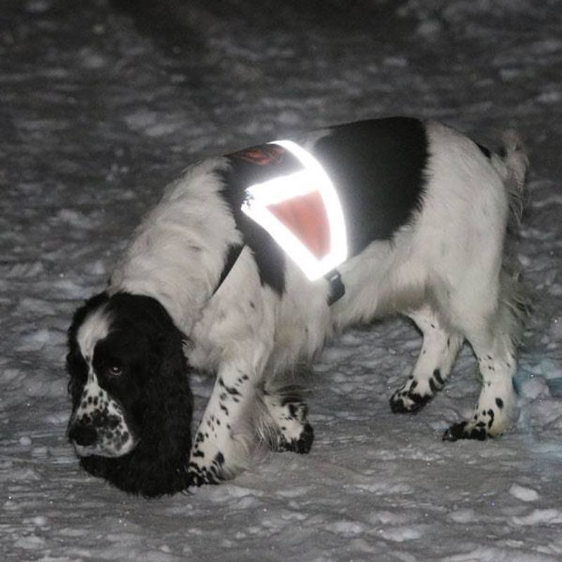 Canelana reflective vest