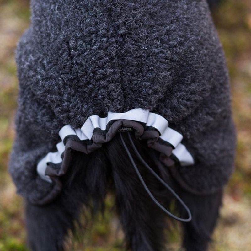 Ambassadør ulldekken hund