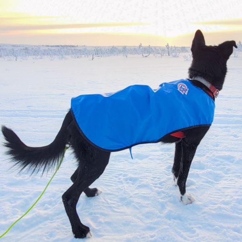 Canelana Windy 8-11 pcs