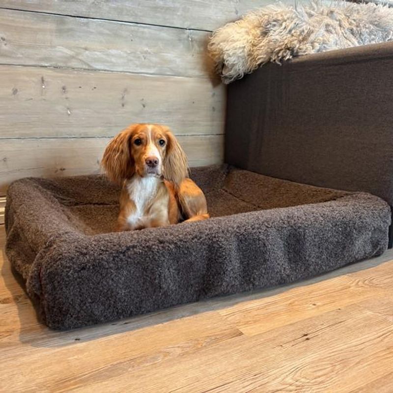 Canelana 100% ull trekk til hundeseng