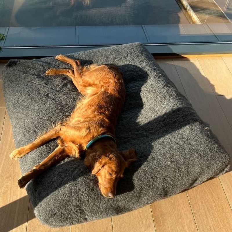 Canelana 100% ull trekk til hundeseng