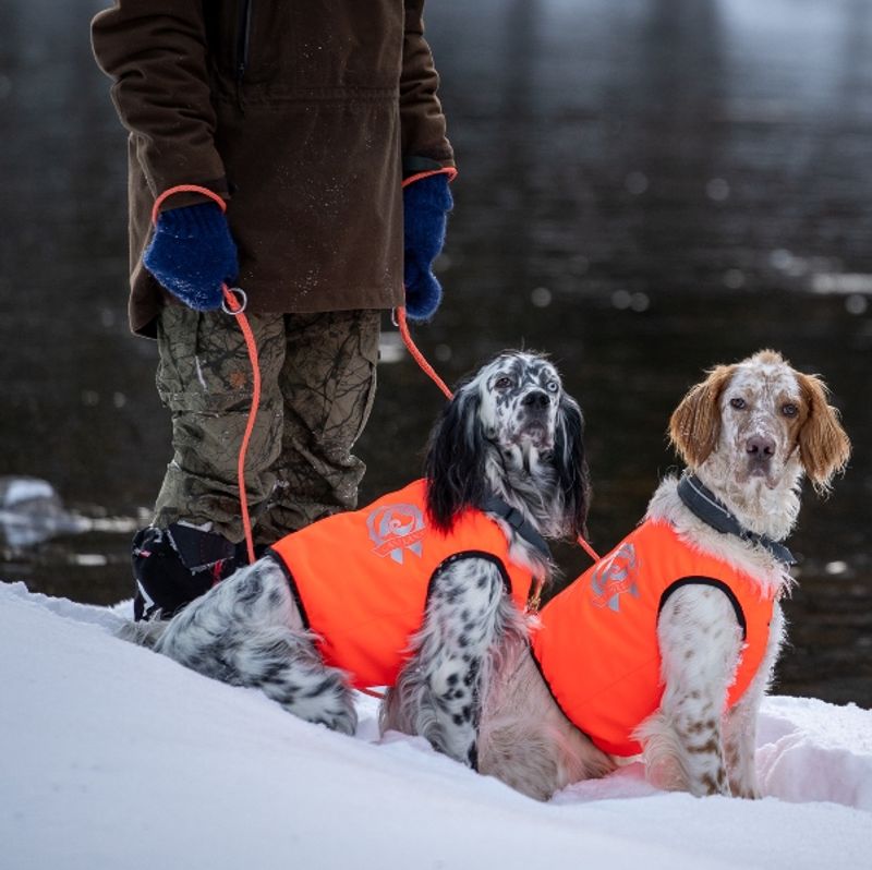 Signal- Protection vest dog with 100% wool lining dog
