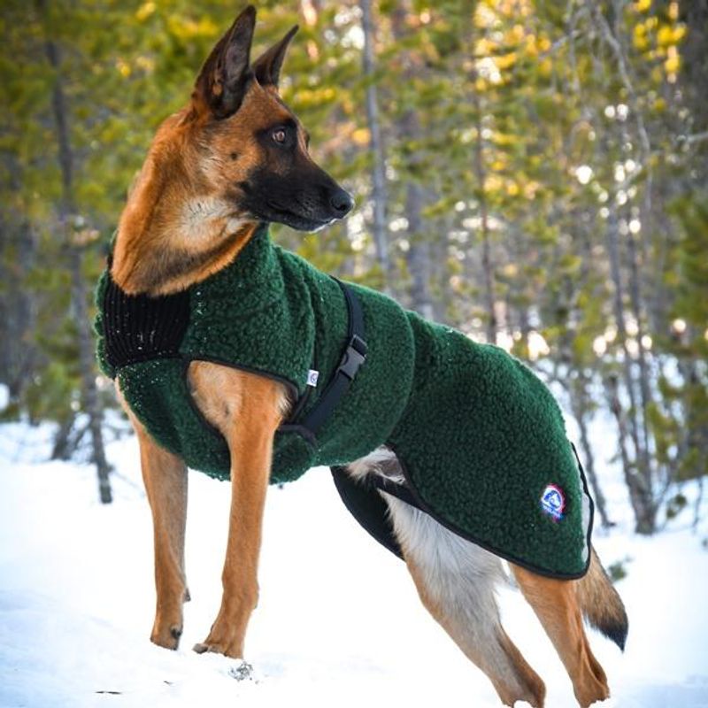 Selva wool coat dog