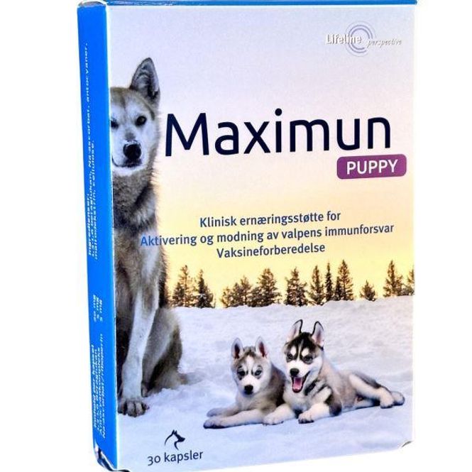 Hovedbilde Maximun Puppy