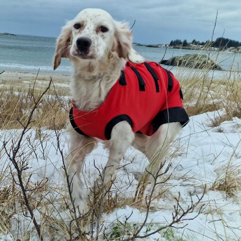 Hunter extreme tispedekken