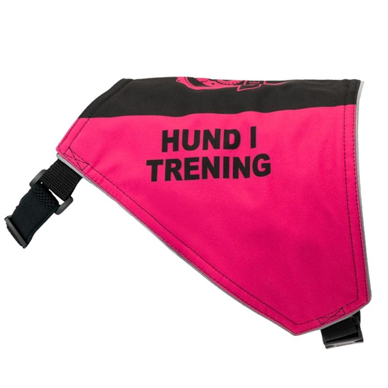 Canelana markeringsdekken-treningsvest hund: hund i trening