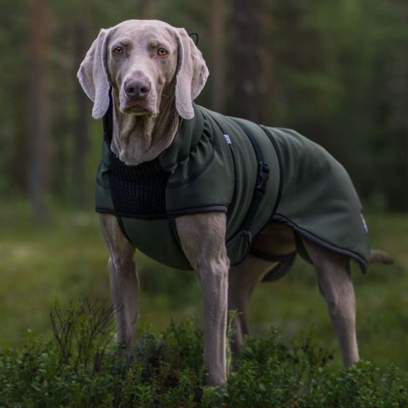 Thermo green - thick 100% wool dog coat with softshell 