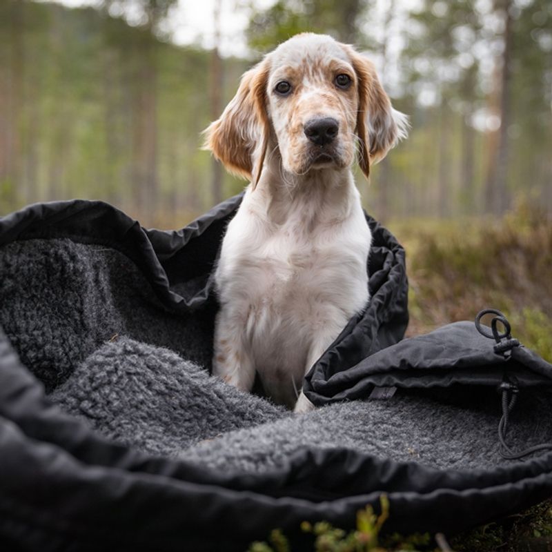 Canelana Shelter beskyttende vind-/varmepose hund