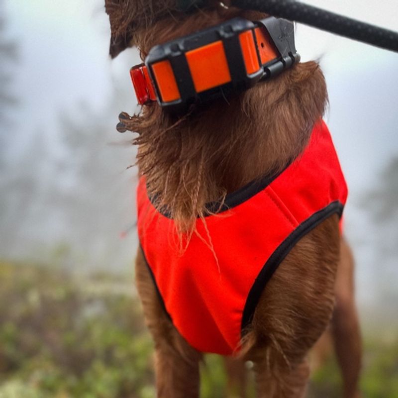 VISIO synlighets- og jaktdekken