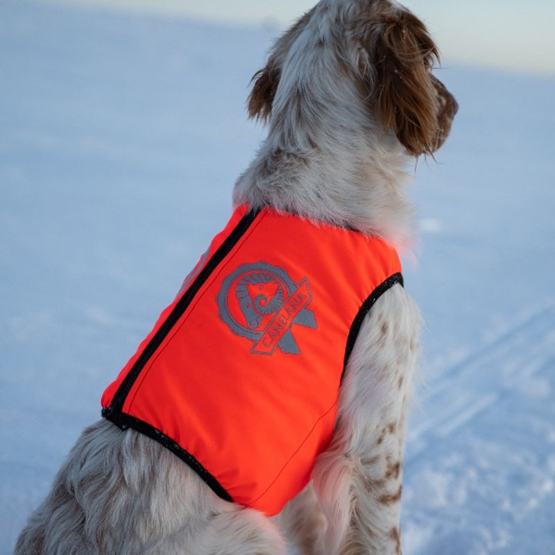 Signal- Protection vest dog with 100% wool lining dog
