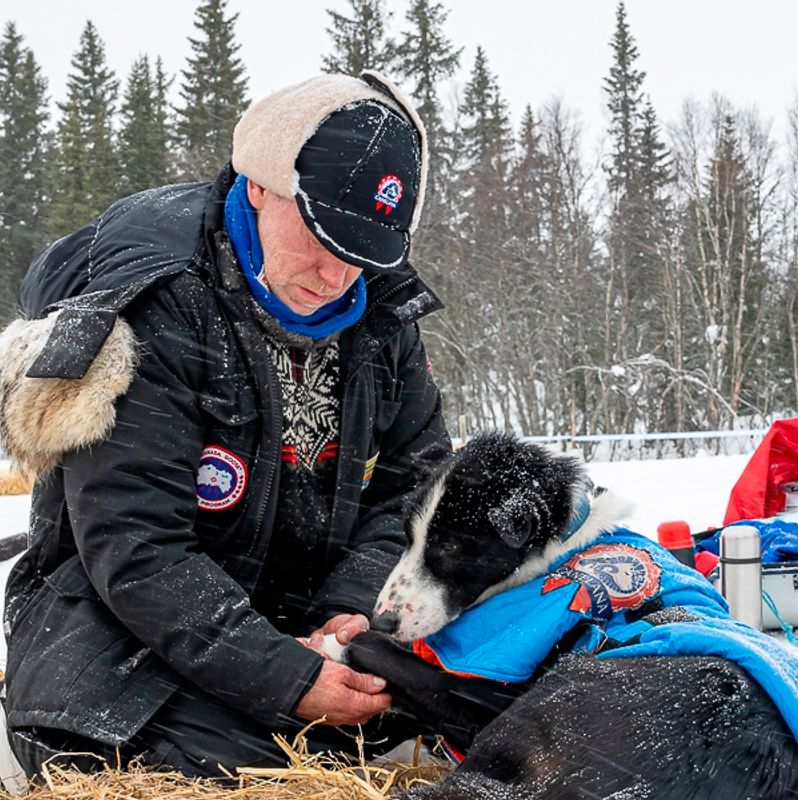 Polar Bear musher hat