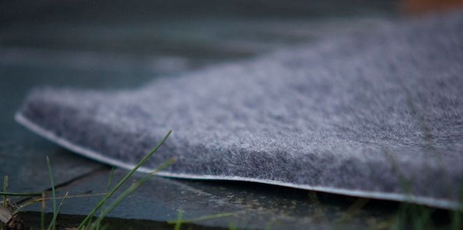 Main Image Canelana dog carpet 100% wool